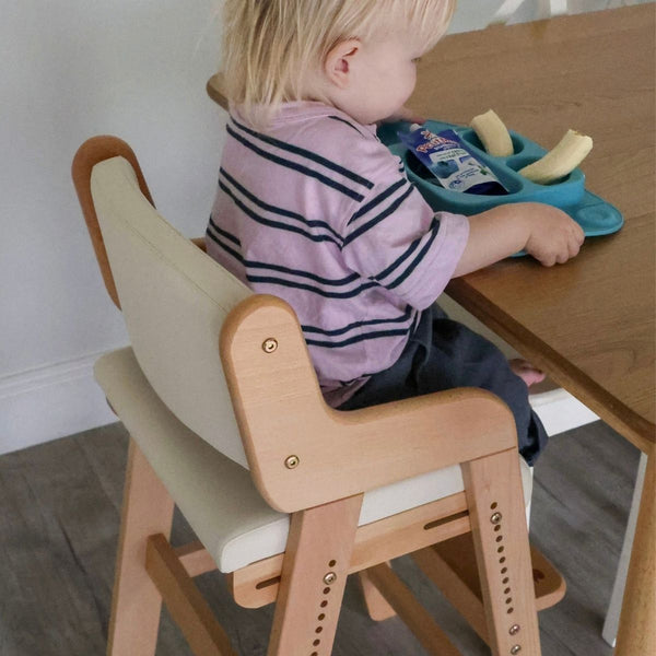 AURORA Pro Dining Chair