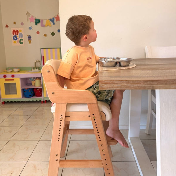 AURORA Pro Dining Chair